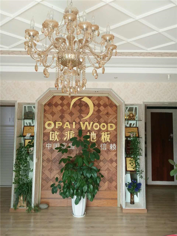 歐派地板加盟店活動